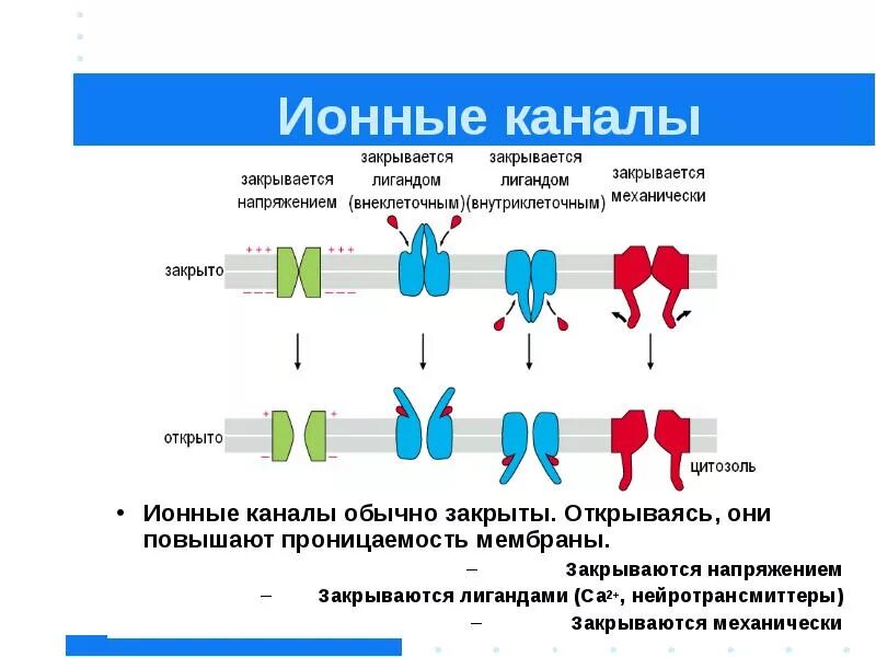 Генерация промптов