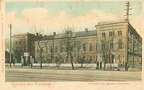 Первая школьная гимназия