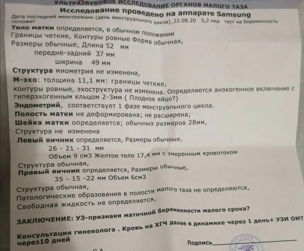 Беременность малого срока форум