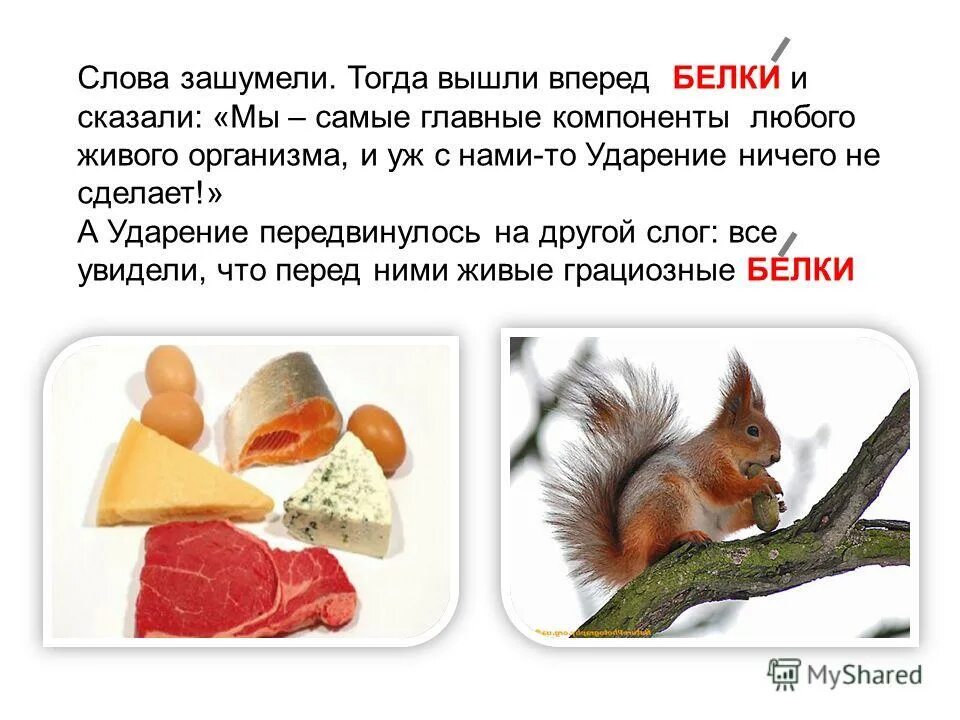 Что такое дефиниция определение. Ошибки в тексте белки. Задания о белке для детей. Как определить определение. Найдите ошибки в приведенном тексте.