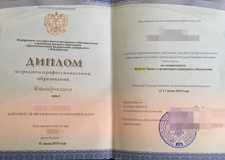 Сколько всего дипломов