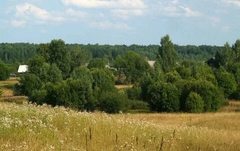 Павлово костромская область
