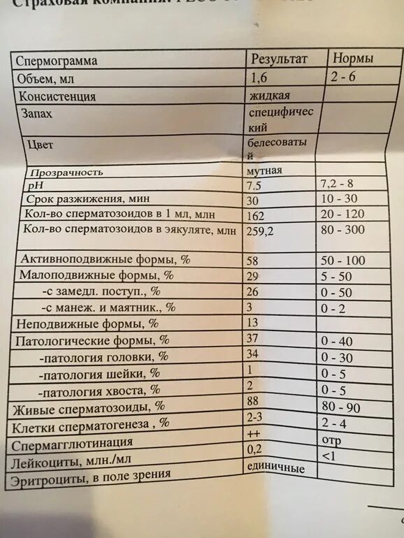 Сдать спермограмму в новосибирске