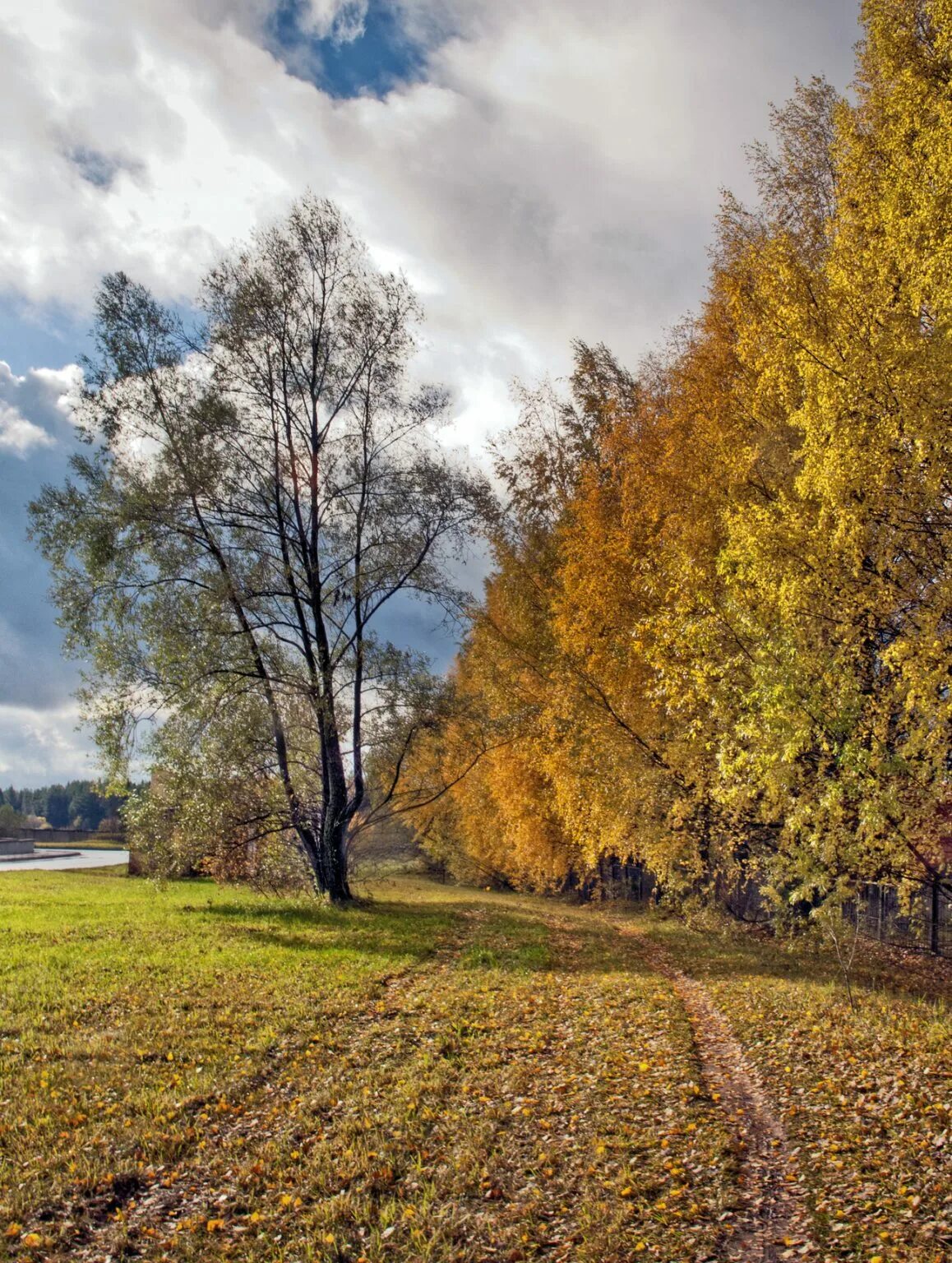 Октябрь картинки. Осень октябрь. Октябрь природа. Октябрь пейзаж. Природа в конце октября.