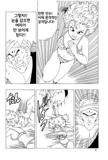 드래곤볼 외전 11 