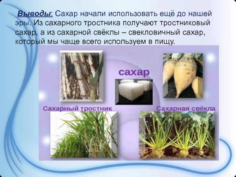 Как получить сахарный