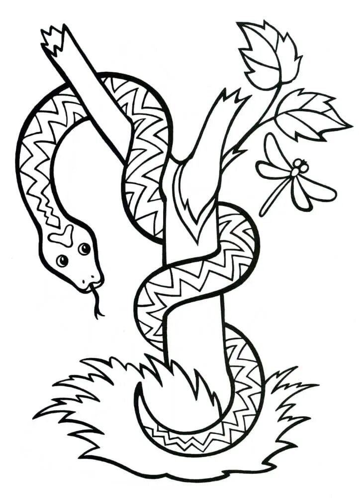 Змея раскраска. Змея раскраска для детей. Рисунок змеи для раскрашивания. Раскраски змей. Раскраска змей для детей