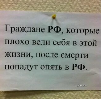 Как оказались жили