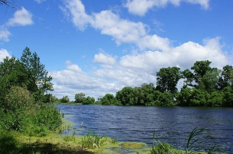 Назови реку на берегах. Река ик в татарстане. Назови реку на берегах. Назови реку на берегах. Река москварика.