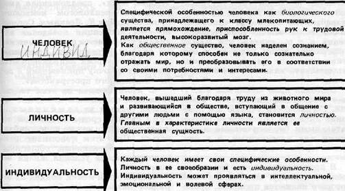 Особенности которые отражают поведение человека как индивида