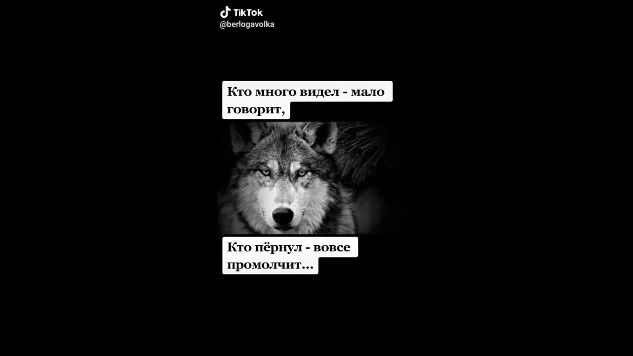 Кто мало видел много. Кто много видел мало говорит. Кто много видел мало говорит кто пернул вовсе промолчит. Много сказанного много увиденного. Конец россии хотя увидеть многие