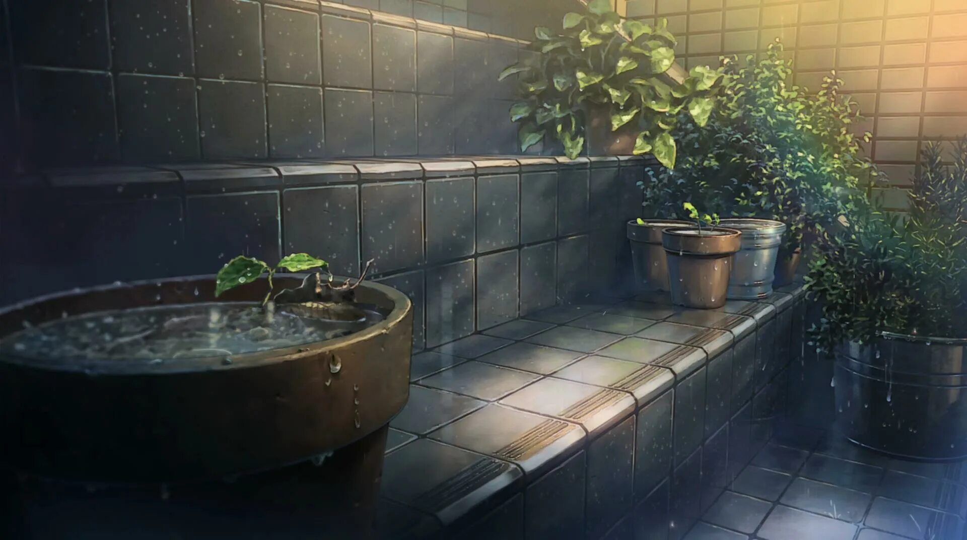 If it not rain the plants die