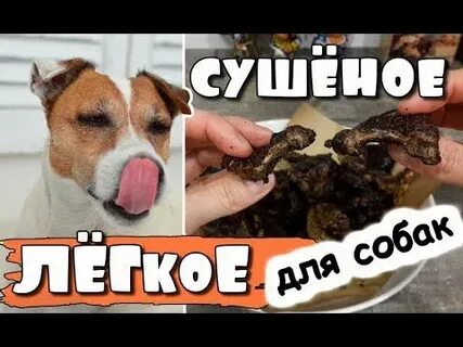 Легкое для собак лакомство как приготовить