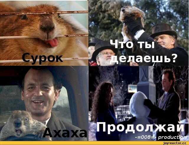 Сурок фанфик. Билл мюррей и сурок. Woodchuck. Билл мюррей день сурка(1993). 2 февраля день сурка прикольные картинки.