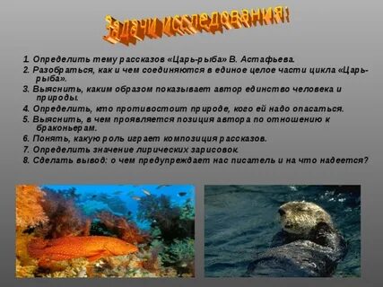 Царь рыба природа и человек