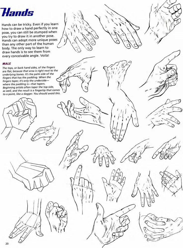 How to learn drawing