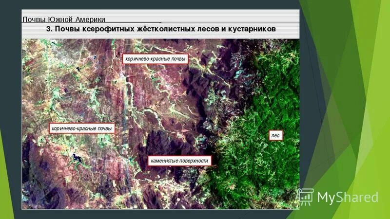 Почвы сша. Почва жестколистных лесов. Почвы Южной Америки. Почвы Южной Америки кратко. Почва в жестколистных лесах.