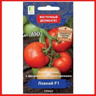 Томат лакомство изабель