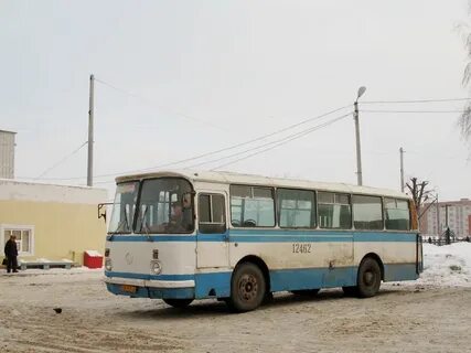 462 автобус углова