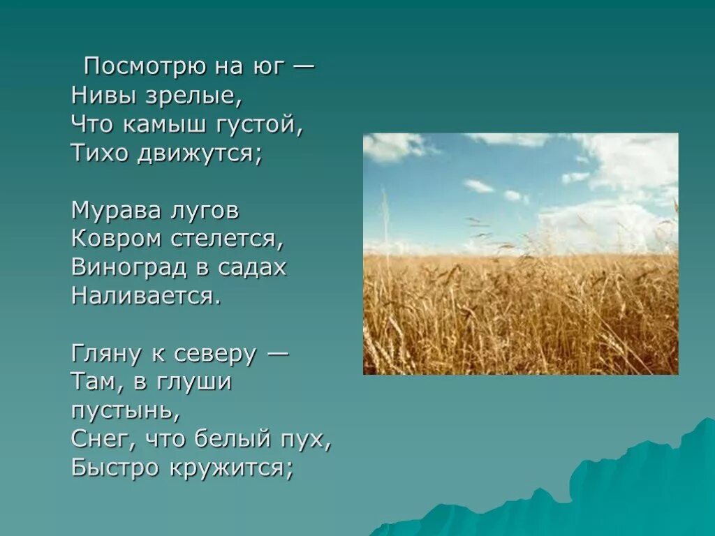 Стихотворение ивана саввича никитина русь в сокращении. Посмотрю на Юг Нивы зрелые что камыш.