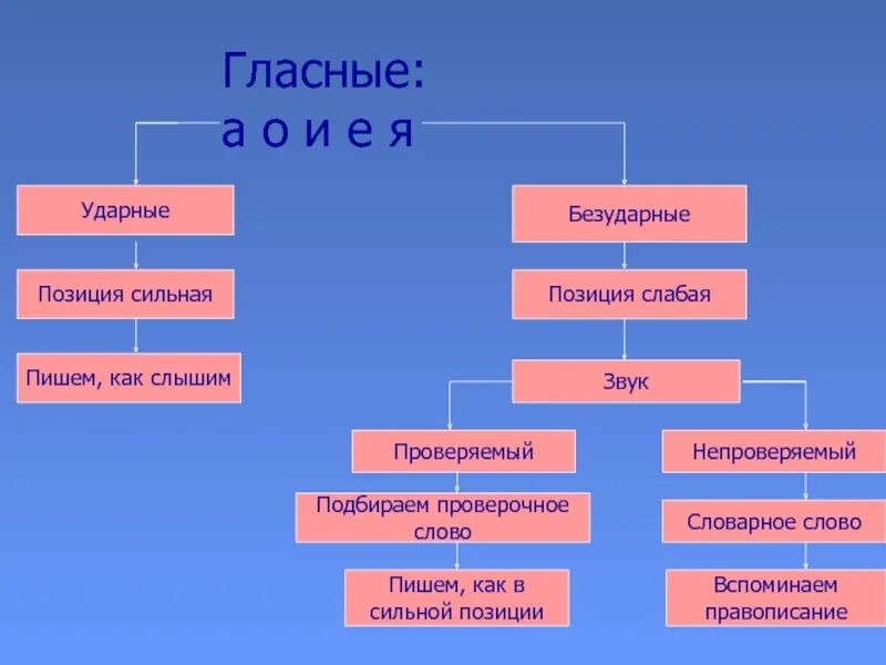 Сильная позиция слова. Слабые и сильные позиции 2 класс. Что такое сильная и слабая позиция в русском языке. Слова в сильной позиции. Слабая позиция безударного гласного.