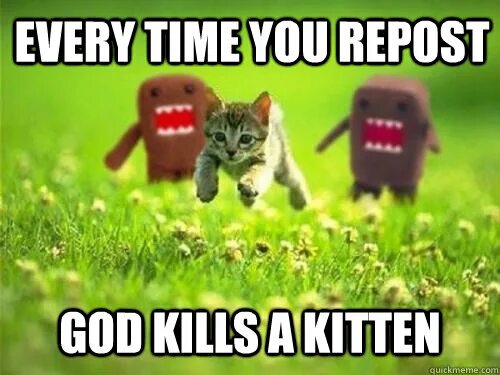 Every time. Every time you Masturbate... God Kills a Kitten. Bad code. Killing Kittens социальная сеть. Every time you do this a Kitten dies.