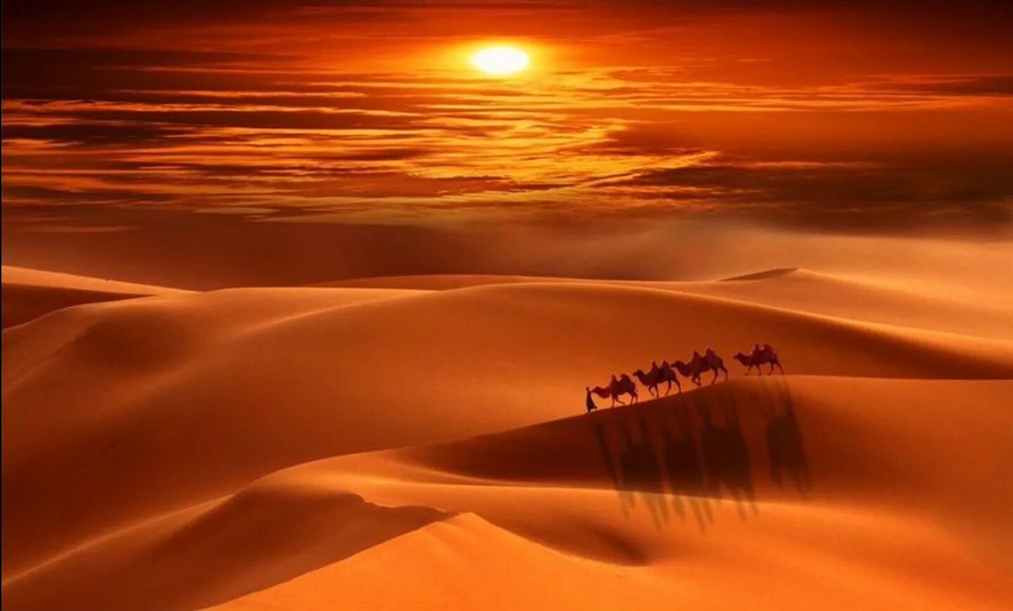 пустыня руб-эль-хали. закат в пустыне. закат в пустыне. пустыня гоби. вечерняя пустыня.