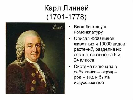 Кто ввел бинарные названия