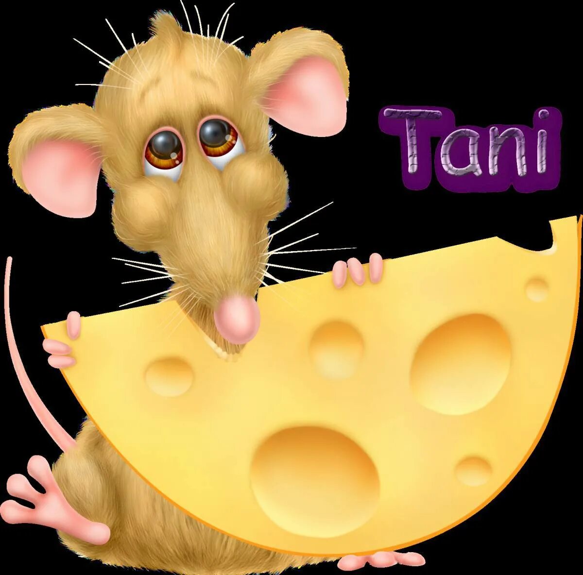 Мышь+сыр. Мышь с сыром. Мышонок с сыром. Мышка с сыром для детей. Про мышей и сыр
