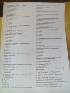 Тэст па беларускай мове 11