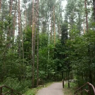 Лесопарк северный