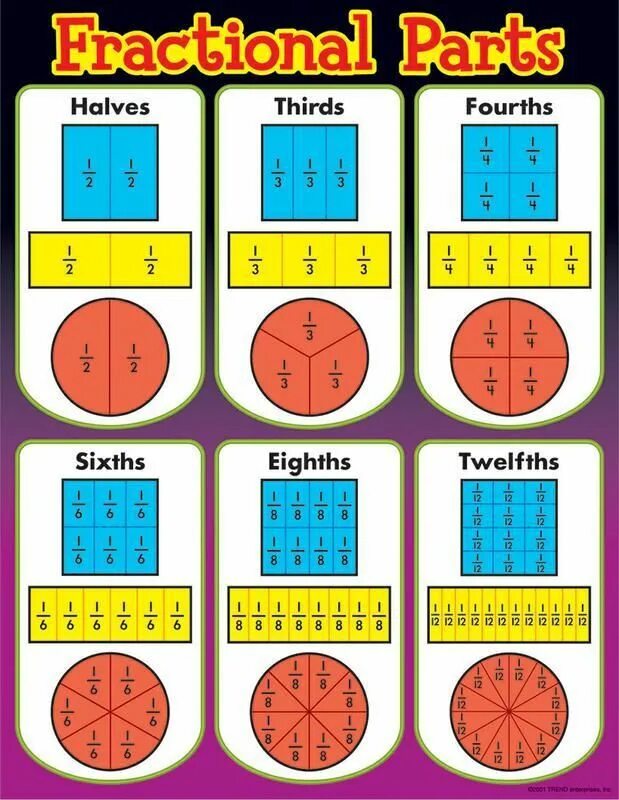 Part chart. Parts of fraction. Concept of fractions.