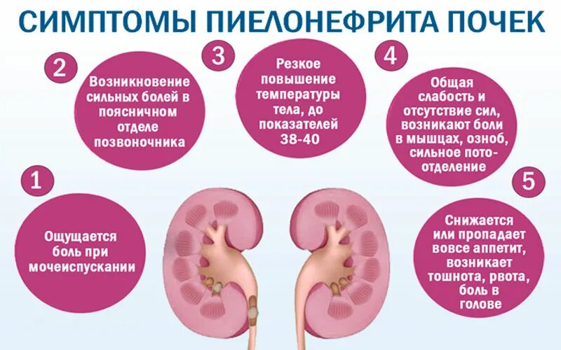 Как определить что болят почки