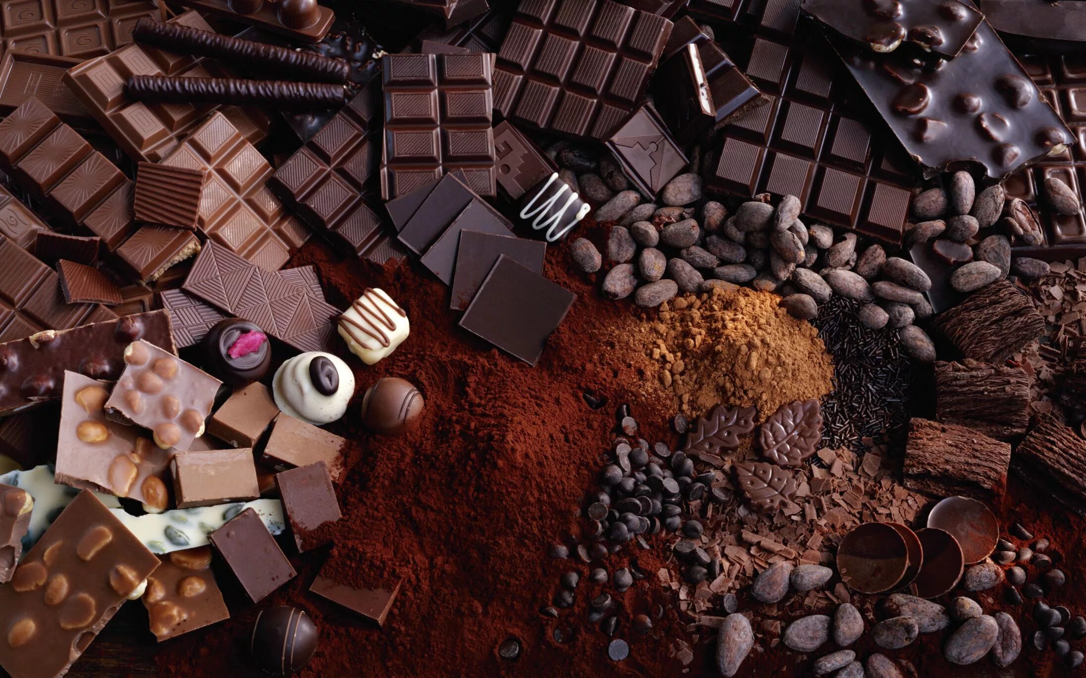 Chocolate is extracted from the
