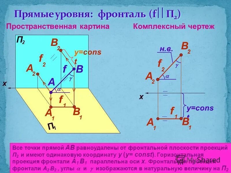 Параллельные прямые частного положения. Переход от частного положения к общему. Плоскость перпендикулярно горизонтальной плоскости проекций. Переход от частного положения к общему. Индуктивное умозаключение пример.