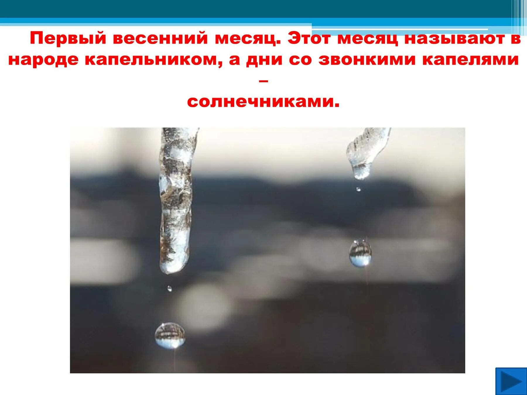 С крыш посыпались звонкие капли. Март презентация. Звонкой капелькой дождя. Звонкой капелькой дождя встретит. Презентация для 1 класса по 21 веку март капельник.