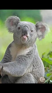 Morgen ist