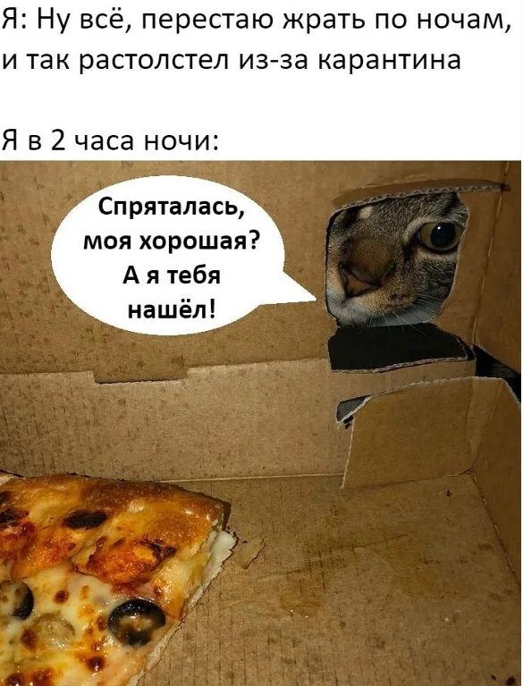 Не спрячешься я тебя найду. Глупая пицца от меня не спрячешься. глупая пицца мем. мемы с пиццей и котом. глупая пицца от меня не спрячешься мем.