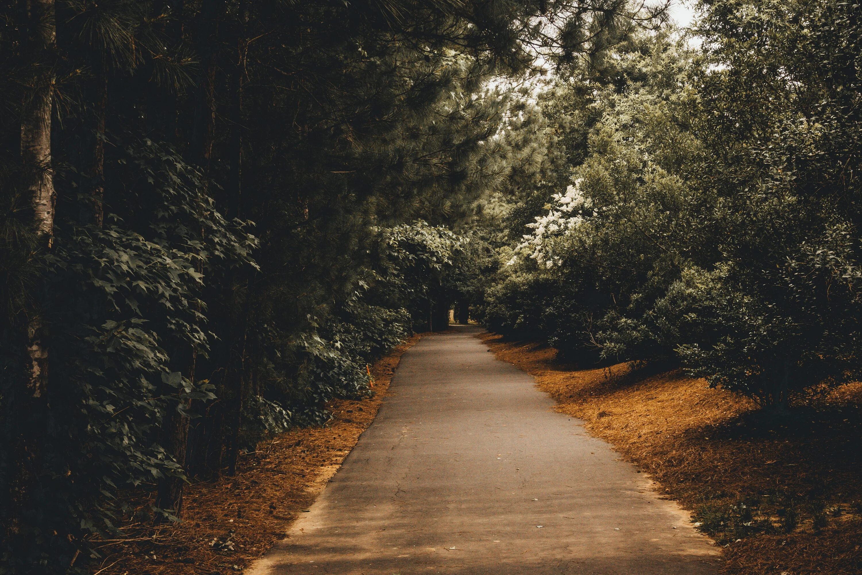 Path road way