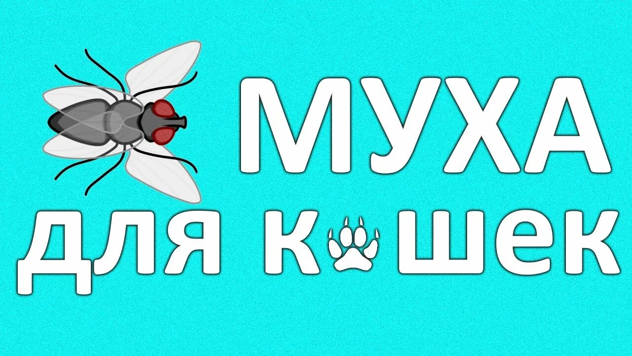 Игра Муха. Игра Муха для кота. Игра с летающей мухой. Мухи для котиков. Игры для кошек на телефоне мухи