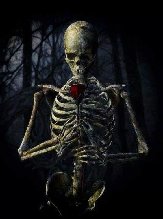 Skeleton s. Skeleton s