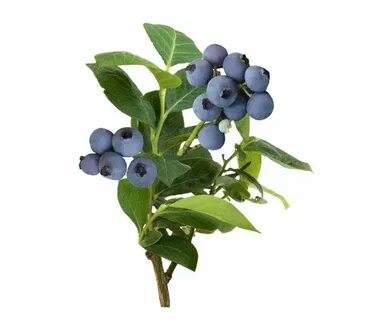 Тұтқындардың тобы түрме күзетшісін ұрды (порно онлайн)