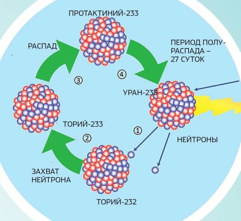 Радиоактивный распад тория. Ядерная реакция распада урана 235. Уран 235 и Уран 238. Распад урана 238. Распад тория 232.