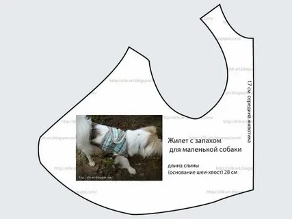 Выкройка жилета для собаки