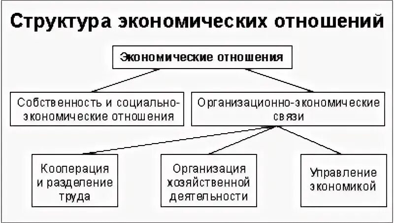 Новые виды экономических связей