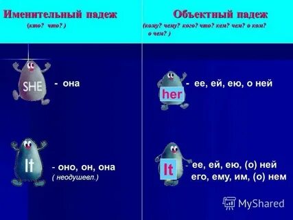 Именительный падеж местоимения ним