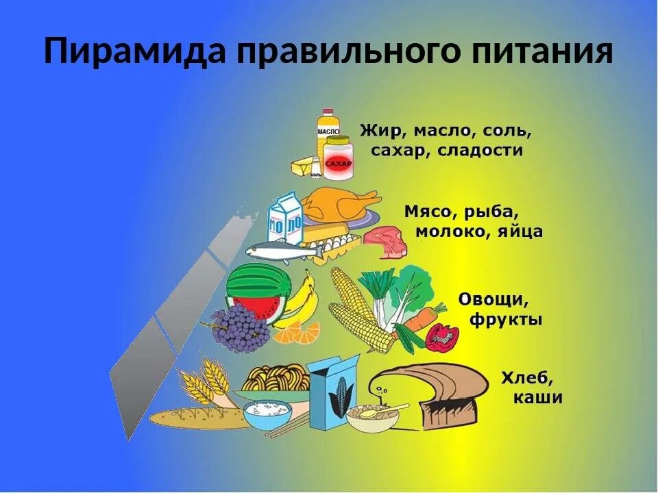 Пища урок