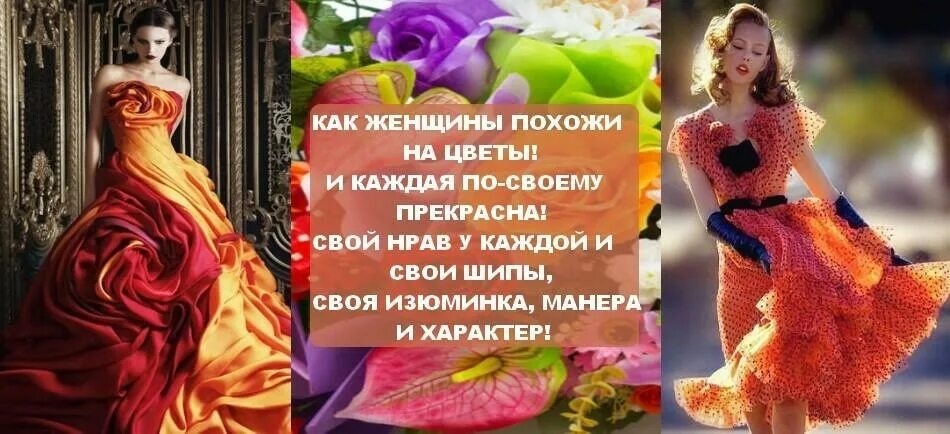 Каждая женщина это цветок. Стихи про цветы и женщину. Женщины похожи на цветы стихи. Женщина и цветы высказывания. Женщины прекрасны как цветы.