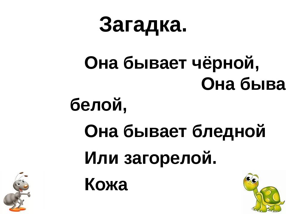 Я живу под землей в темной загадка. Загадки про органы чувств. Загадки про органы. Загадки про органы человека. Загадки про человеческие органы.