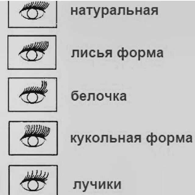 Как подобрать ресницы по форме глаз. Схема наращивания ресниц кукольный эффект для 2д. Беличий эффект наращивание схема. Наращивание ресниц Лисий эффект беличий эффект. Схема кукольного эффекта наращивания ресниц.